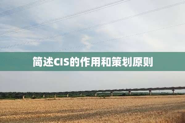 简述CIS的作用和策划原则