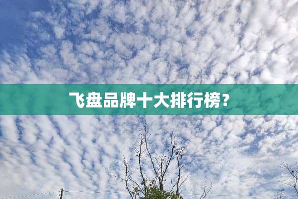 飞盘品牌十大排行榜？
