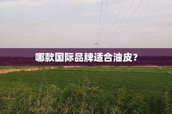 哪款国际品牌适合油皮？