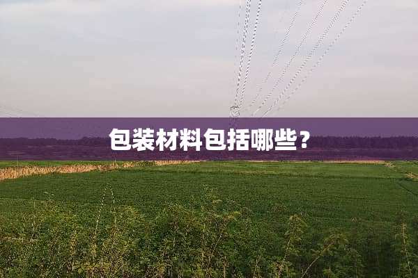 包装材料包括哪些？