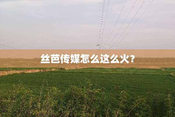 丝芭传媒怎么这么火？