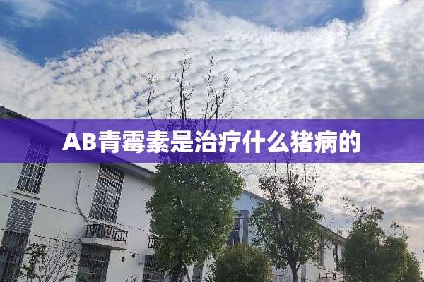 AB青霉素是治疗什么猪病的