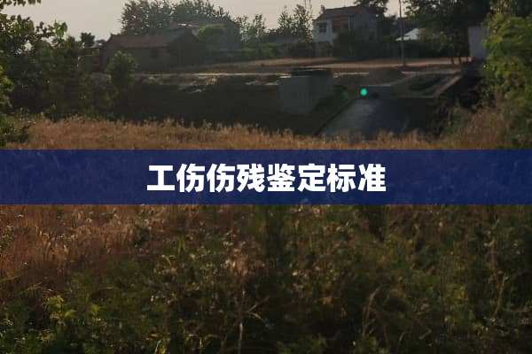 工伤伤残鉴定标准