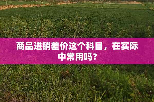 商品进销差价这个科目，在实际中常用吗？