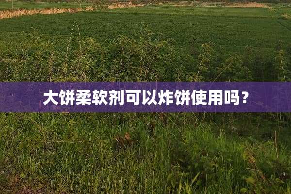 大饼柔软剂可以炸饼使用吗？