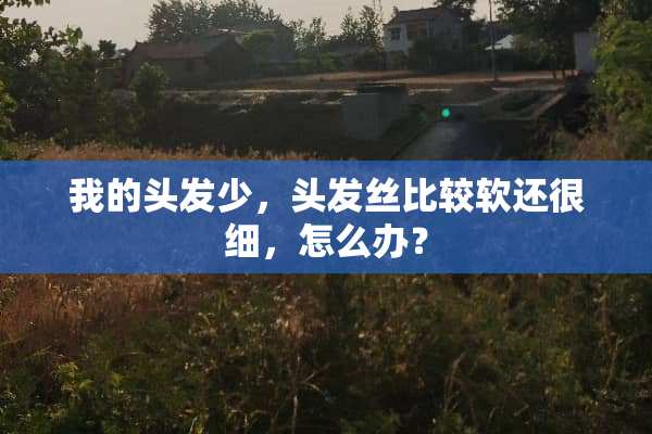 我的头发少，头发丝比较软还很细，怎么办？