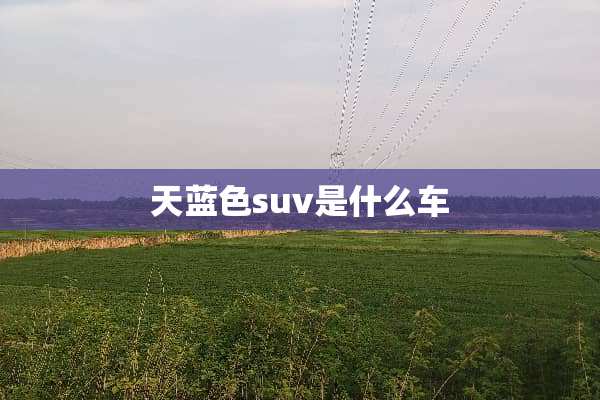 天蓝色suv是什么车