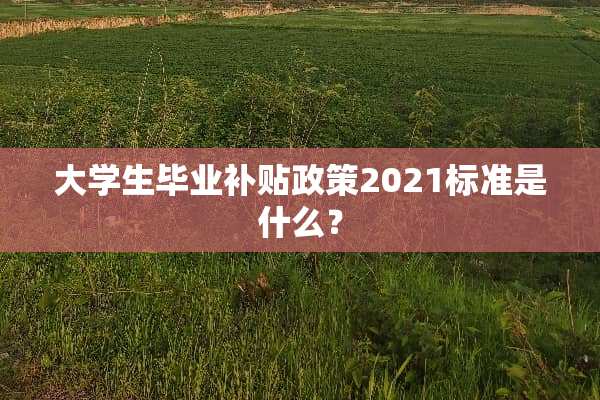 大学生毕业补贴政策2021标准是什么？