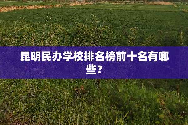 昆明民办学校排名榜前十名有哪些？