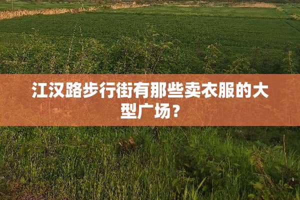 江汉路步行街有那些卖衣服的大型广场？