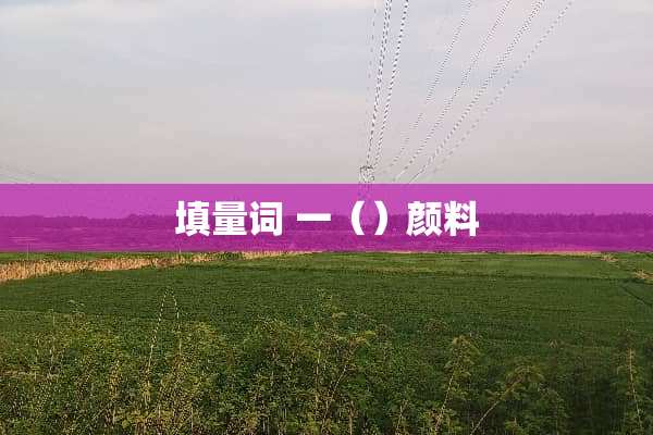 填量词 一（）颜料