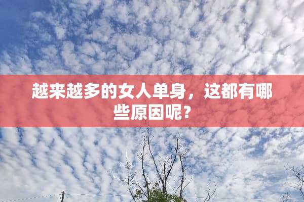 越来越多的女人单身，这都有哪些原因呢？