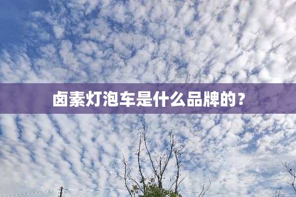 卤素灯泡车是什么品牌的？