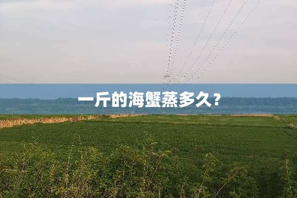 一斤的海蟹蒸多久？