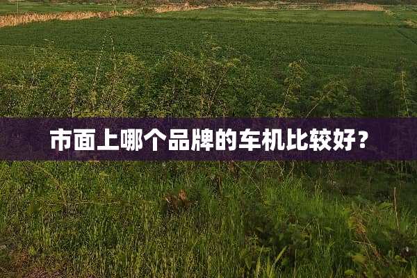 市面上哪个品牌的车机比较好？