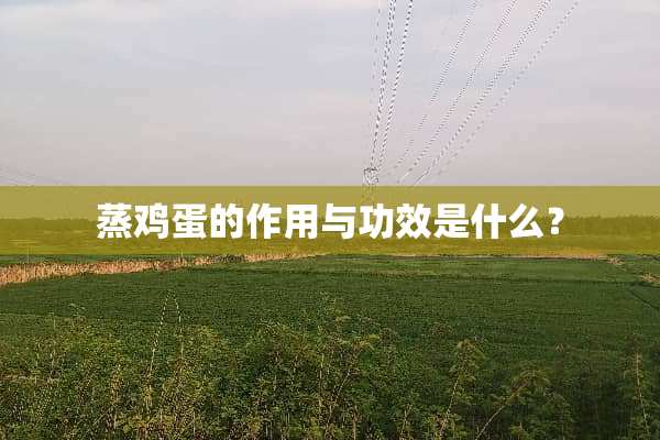 蒸鸡蛋的作用与功效是什么？