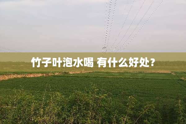 竹子叶泡水喝 有什么好处？