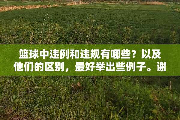 篮球中违例和违规有哪些？以及他们的区别，最好举出些例子。谢谢啦？