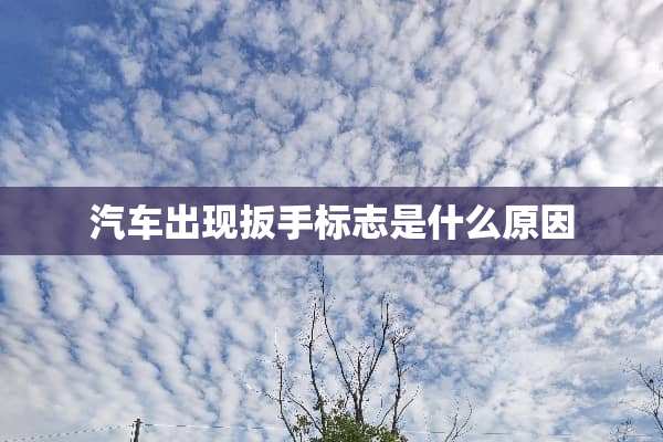 汽车出现扳手标志是什么原因