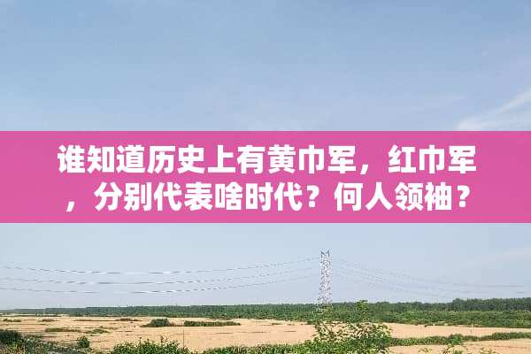 谁知道历史上有黄巾军，红巾军，分别代表啥时代？何人领袖？
