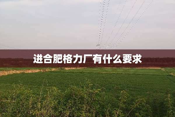 进合肥格力厂有什么要求