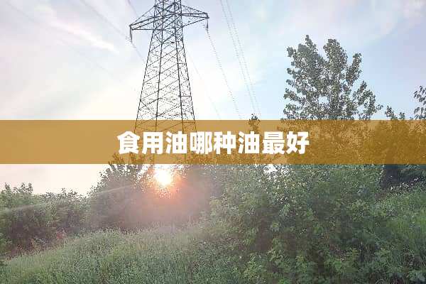 食用油哪种油最好