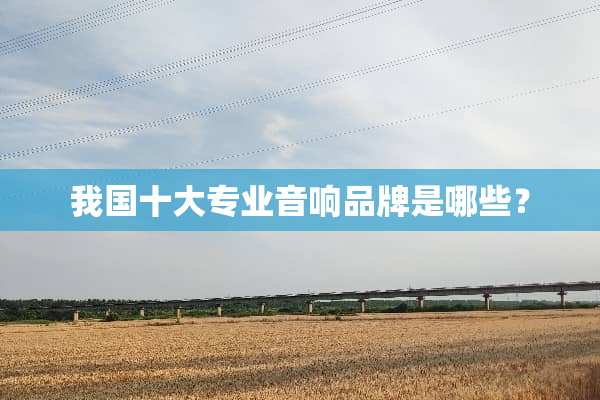 我国十大专业音响品牌是哪些？