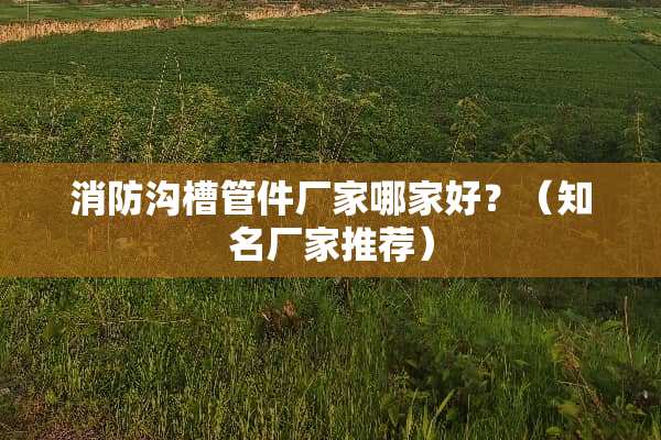 消防沟槽管件厂家哪家好？（知名厂家推荐）