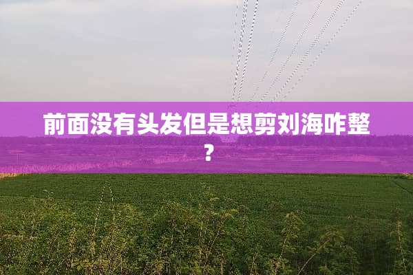前面没有头发但是想剪刘海咋整？