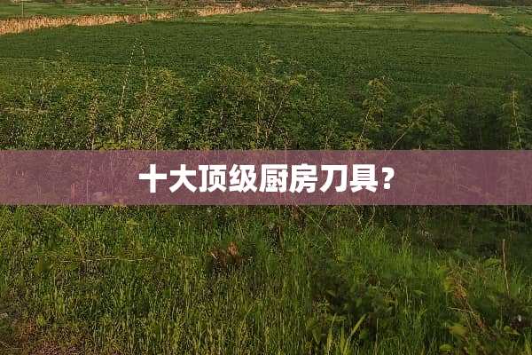 十大**厨房**？