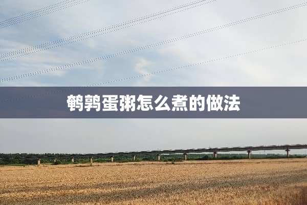 鹌鹑蛋粥怎么煮的做法