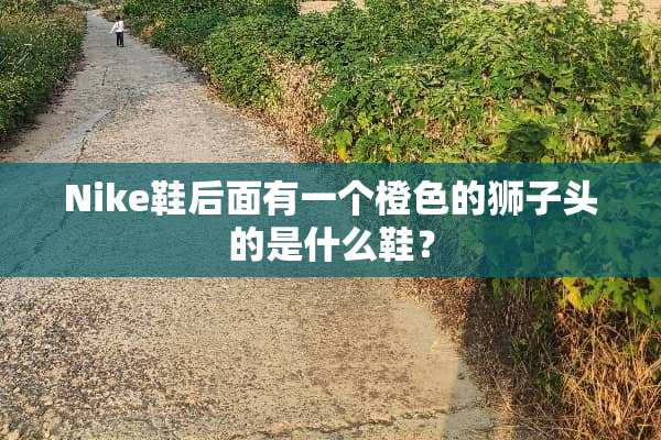 Nike鞋后面有一个橙色的狮子头的是什么鞋？