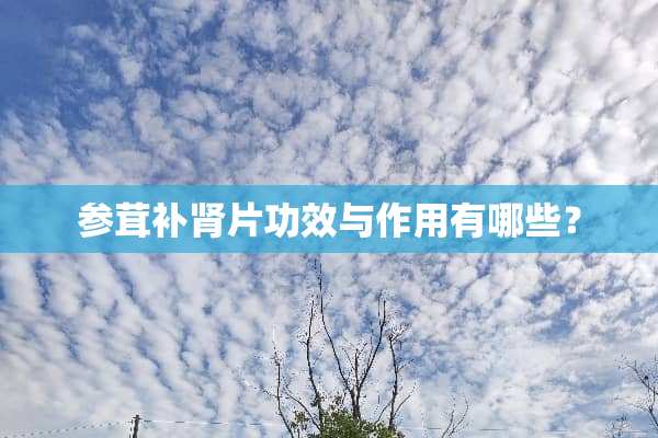 参茸补肾片功效与作用有哪些？