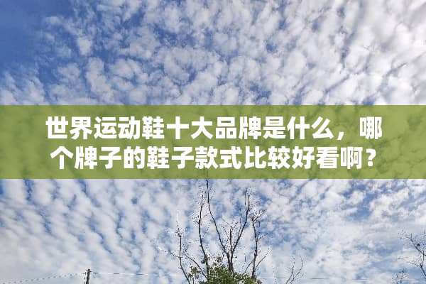 世界运动鞋十大品牌是什么，哪个牌子的鞋子款式比较好看啊？