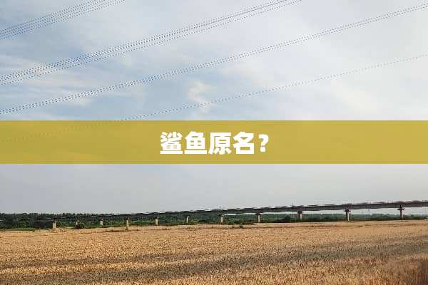 鲨鱼原名？