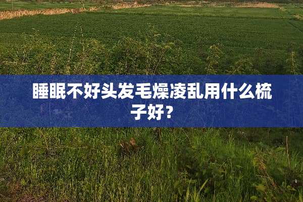 睡眠不好头发毛燥凌乱用什么梳子好？