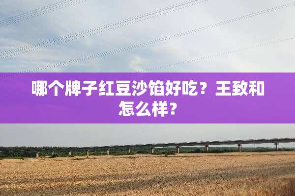 哪个牌子红豆沙馅好吃？王致和怎么样？
