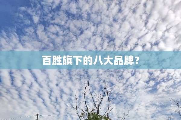 百胜旗下的八大品牌？