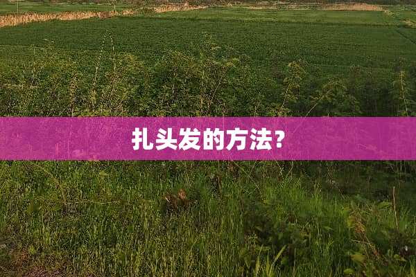 扎头发的方法？
