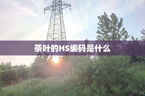 茶叶的HS编码是什么