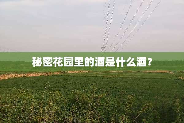 秘密花园里的酒是什么酒？
