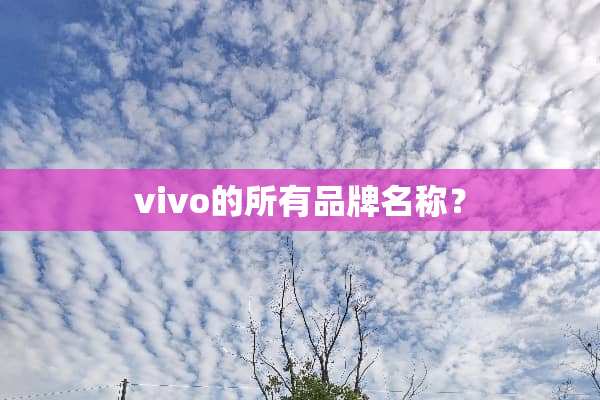 vivo的所有品牌名称？