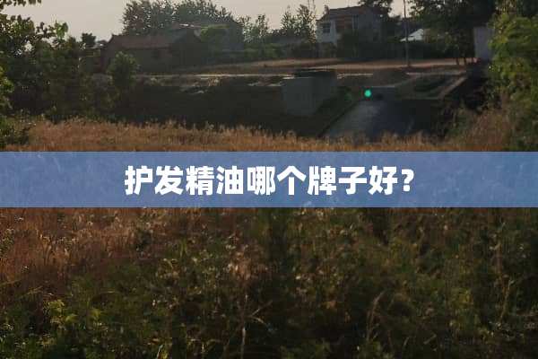 护发精油哪个牌子好？