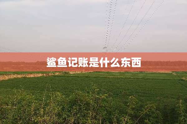 鲨鱼记账是什么东西