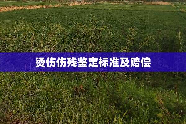 烫伤伤残鉴定标准及赔偿