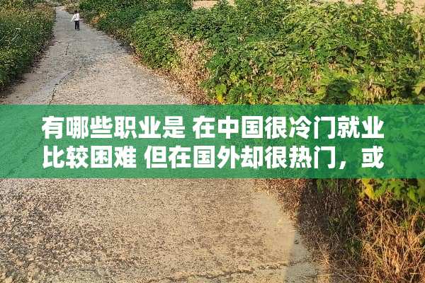 有哪些职业是 在中国很冷门就业比较困难 但在国外却很热门，或者很受人推崇的？