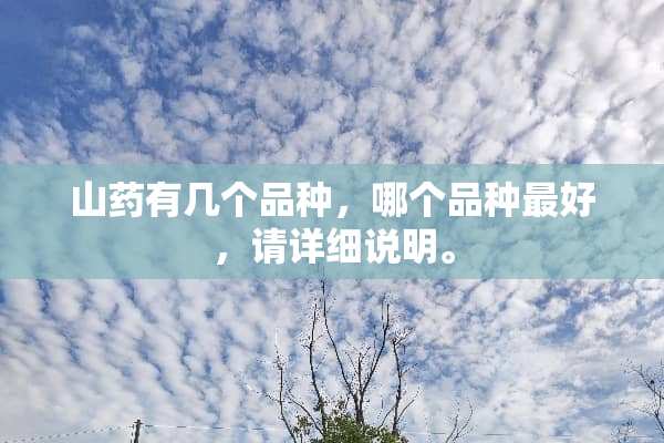 山药有几个品种，哪个品种最好，请详细说明。