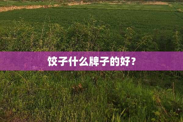 饺子什么牌子的好？