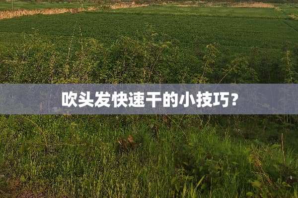 吹头发快速干的小技巧？