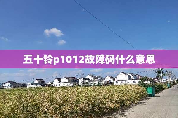 五十铃p1012故障码什么意思